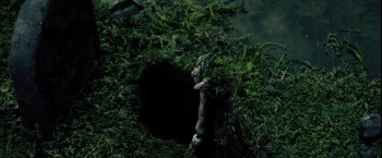 The Forest Hills Festival Cut (2023) download