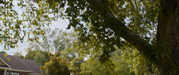 The Forge (2024) download