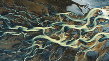 The Forgotten Coast (2024) download