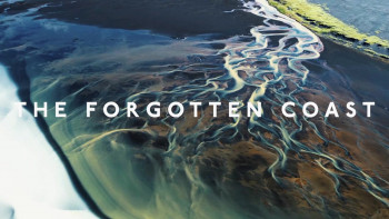 The Forgotten Coast (2024) download