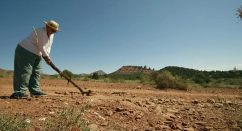 The Founders (2016) download