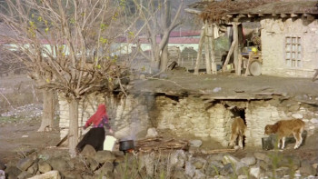 The Girl with the Red Scarf (1977) download