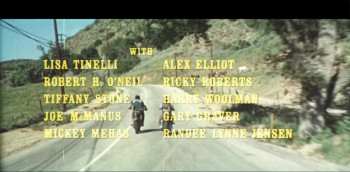 The Girls from Thunder Strip (1970) download