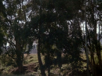 The Good Wife (1987) download