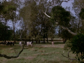 The Good Wife (1987) download