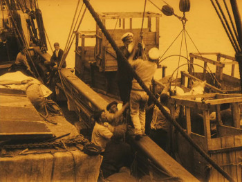 The Great White Silence (1924) download