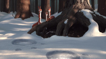 The Gruffalo's Child (2011) download