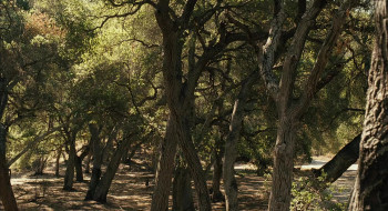 The Haunting of Molly Hartley (2008) download