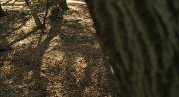 The Haunting of Molly Hartley (2008) download