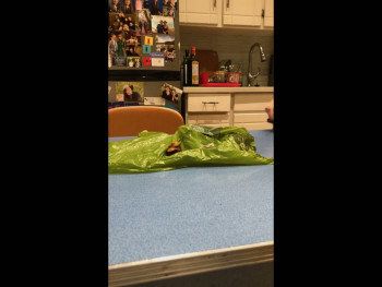 The Heirloom (2024) download