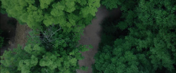 The Hermit (2025) download