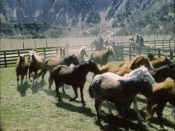 The Horse with the Flying Tail (1960) download