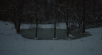 The Human Hibernation (2024) download