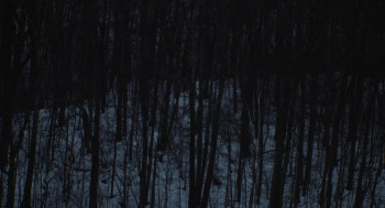 The Human Hibernation (2024) download