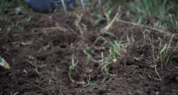 The Initiation (1984) download