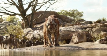 The Jungle Book (2016) download