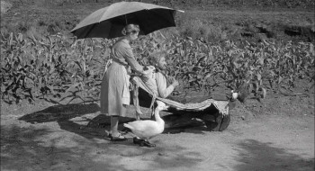 The Kettles in the Ozarks (1956) download