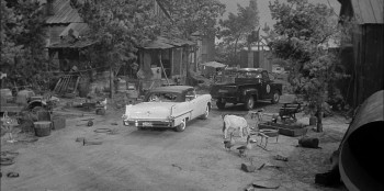 The Kettles on Old MacDonald's Farm (1957) download