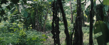 The Last Full Measure (2019) download