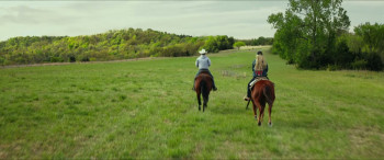 The Last Rodeo (2025) download