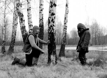 The Linnet (1982) download