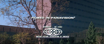 The Lost Man (1969) download