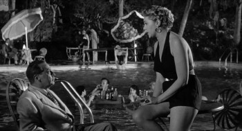 The Miami Story (1954) download