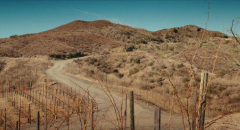 The Napa Boys (2025) download