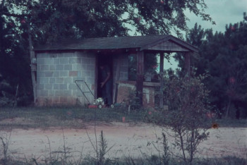 The Night They Robbed Big Bertha's (1975) download