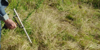 The Nut Farm (2024) download