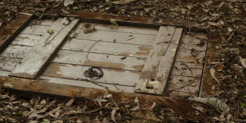 The Nut Farm (2024) download