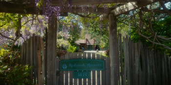 The Optimist: The Bravest Act Is Truth (2023) download