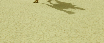 The Rendezvous (2016) download