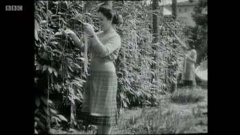 The Road to Brexit (2019) download