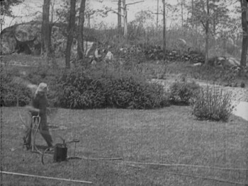 The Rough House (1917) download