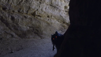 The Space Rodent (2025) download