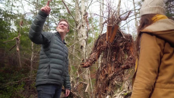 The Stickman's Hollow (2024) download
