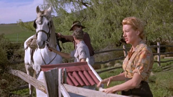 The Sundowners (1960) download