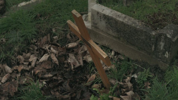 The Surgeon (2022) download