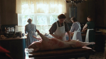 The Swedish Torpedo (2024) download