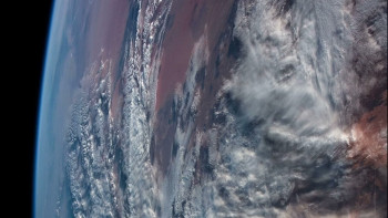 The Symbiotic Alien Link (2025) download