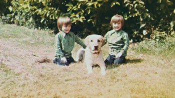 The Symbiotic Alien Link (2025) download