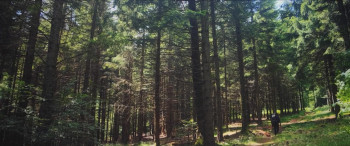 The Trail (2024) download