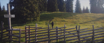 The Trail (2024) download