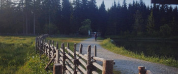 The Trail (2024) download