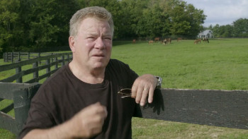 The Truth Is in the Stars (2017) download