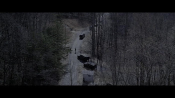 The Unquiet (2008) download