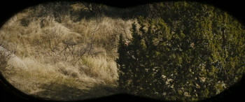 The War Between (2025) download