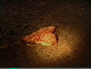 The Wasteland (2014) download