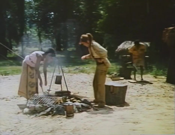 The Wild and the Free (1980) download